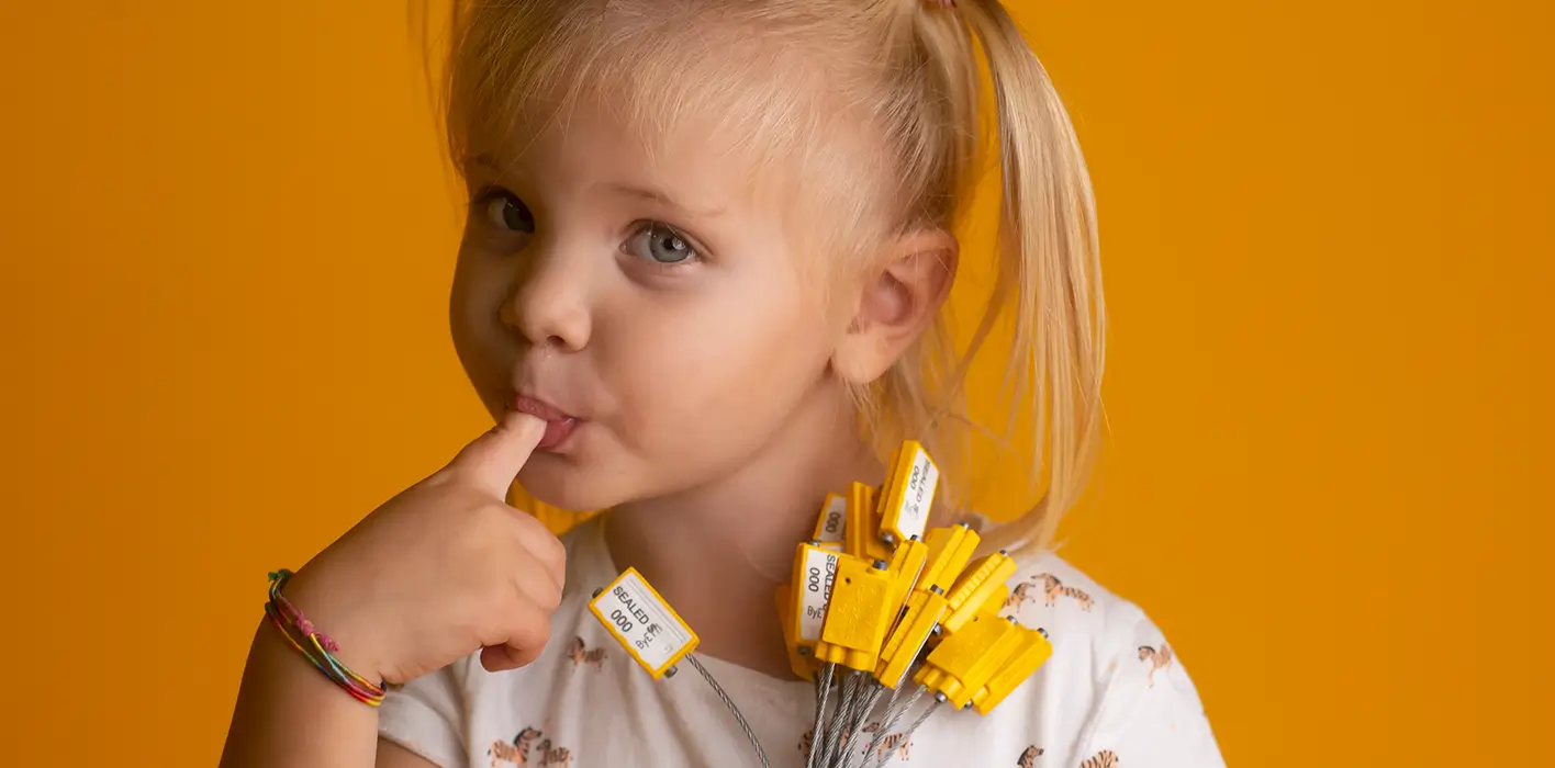 Sigilli di Sicurezza Online slide 1